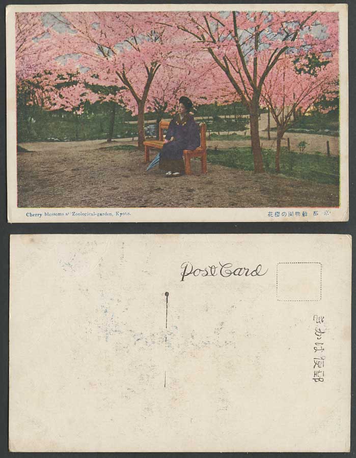 Japan Old Postcard Kyoto Cherry Blossoms Zoo Zoological Gardens Geisha Girl Lady