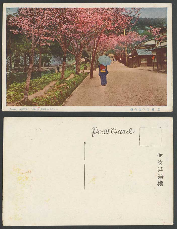 Japan Old Postcard Cherry Blossoms Todaiji Temple Kyoto Shrine Geisha Girl Woman
