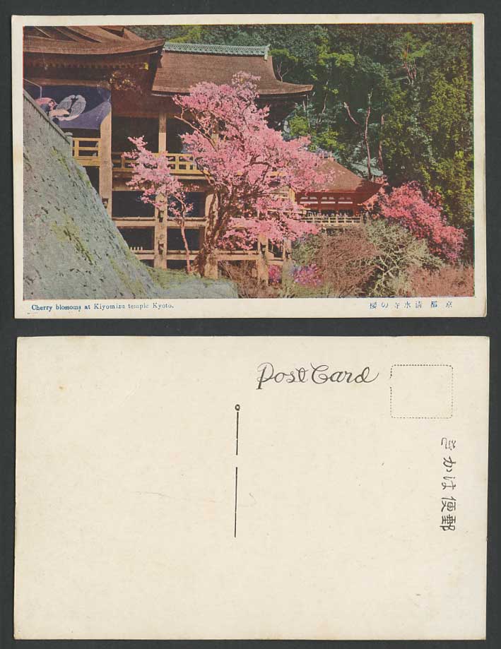 Japan Old Postcard Cherry Blossoms at Kiyomizuji Temple Kyoto, A Buddhist Temple