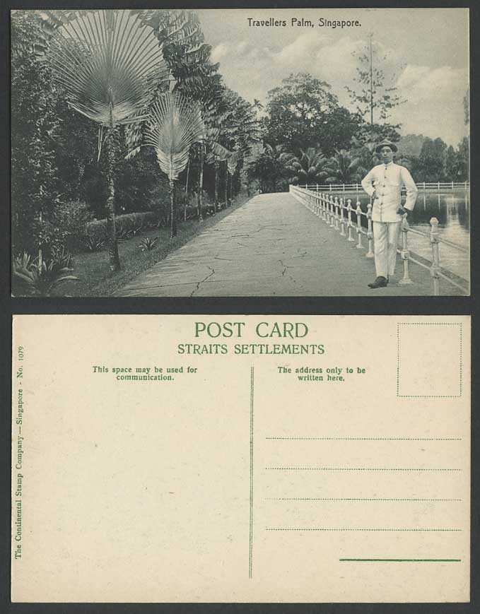 Singapore Old Postcard Traveller's Travellers Palm Trees, Man Stand by Reservoir