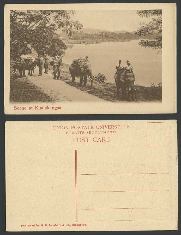Perak Old Postcard Scene at KUALAKANGSA Elephant Riders Kuala Kangsar River View