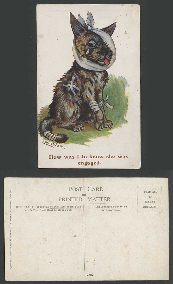 Louis Wain Artist Signed Wounded Dog Puppy How I Know Shes Engaged Old Postcard