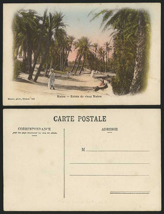 Algeria Entrance -  Entree du Vieux Biskra Old Postcard