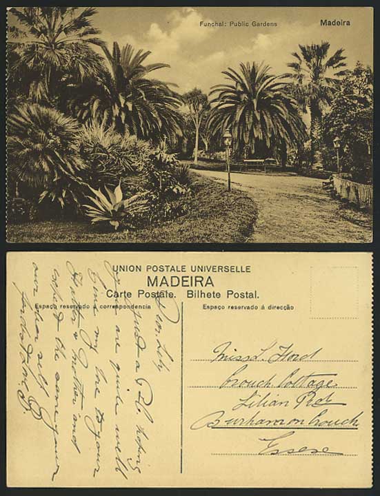 Portugal Madeira Old Postcard FUNCHAL - Public Gardens
