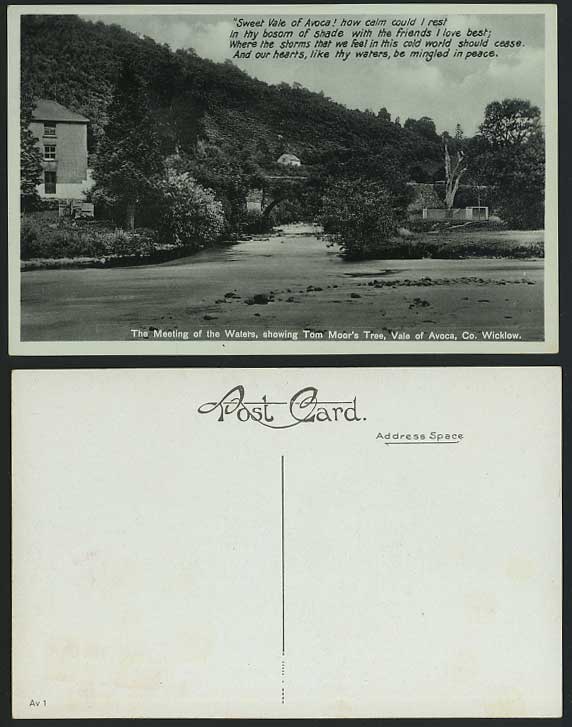 VALE OF AVOCA - TOM MOORE'S TREE & Bridge, Old Postcard
