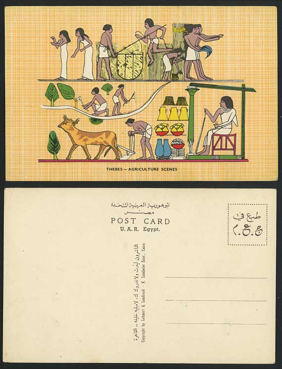 Egypt Old Art Drawn Postcard Thebes Agriculture Scenes Egyptian Farmers Cattle