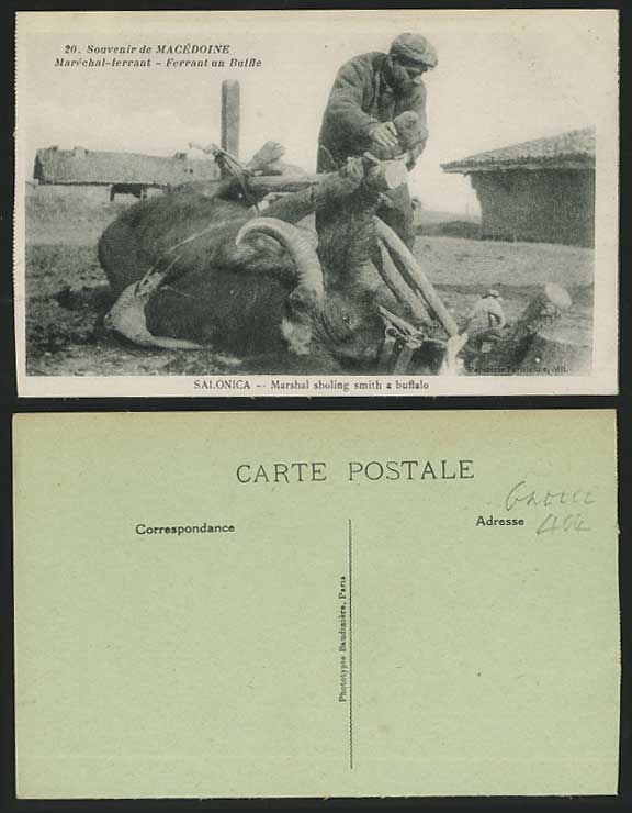 Salonica - Marshal Sholing Smith a Buffalo Old Postcard