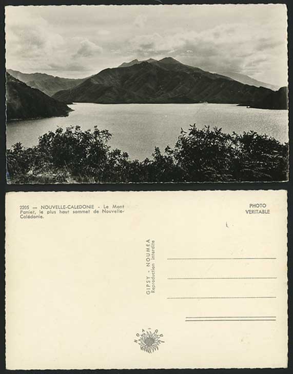 New Caledonia Old Postcard Le Mont Panier - Highest Summit Nouvelle-Caledonie