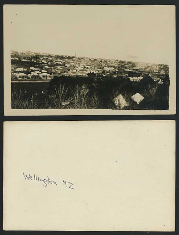 New Zealand Old Real Photo Postcard Wellington Panorama