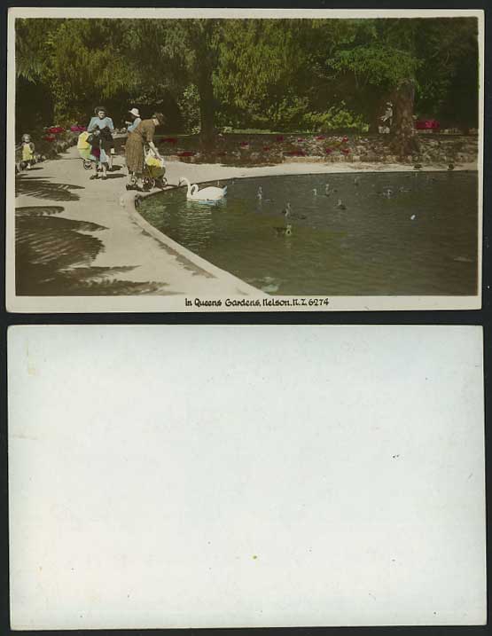 New Zealand Old Postcard Swans in Queens Gardens Nelson