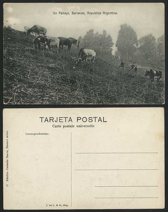 Argentina Old Postcard Un Paisaje, Barracas, Cattle Cow Animals