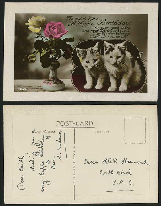 Cats Kittens Roses Flowers & Vase Birthday Old Postcard