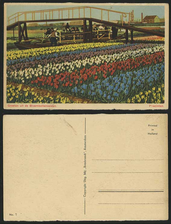 Hyacinten, Bloembollenvelden Bridge & Boat Old Postcard