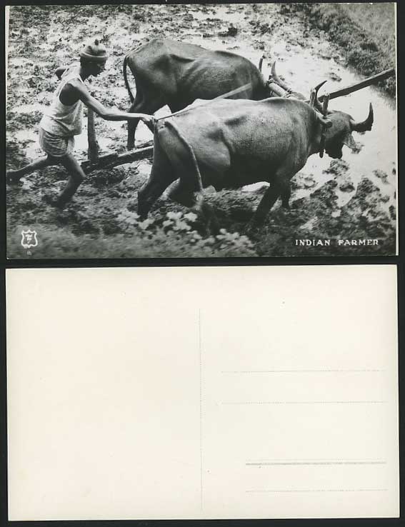 India c.1950 Old RP Postcard Farmer Buffaloes Ploughing