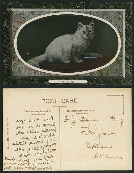 CAT Kitten Plate All Gone Old Embossed Postcard