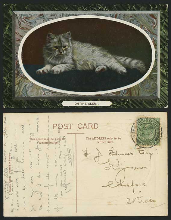 CAT, On The Alert 1911 Old Embossed Postcard Pet
