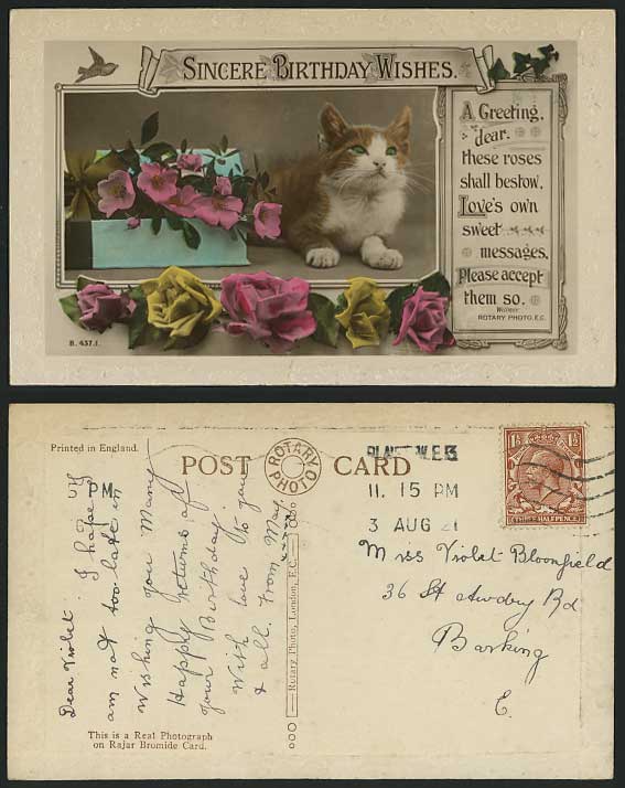 Cat Kitten & Flowers, Birthday Wishes 1922 Old Postcard