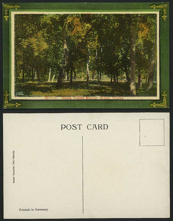 India Old Postcard Tree Bhola Forest Meerut Water Works