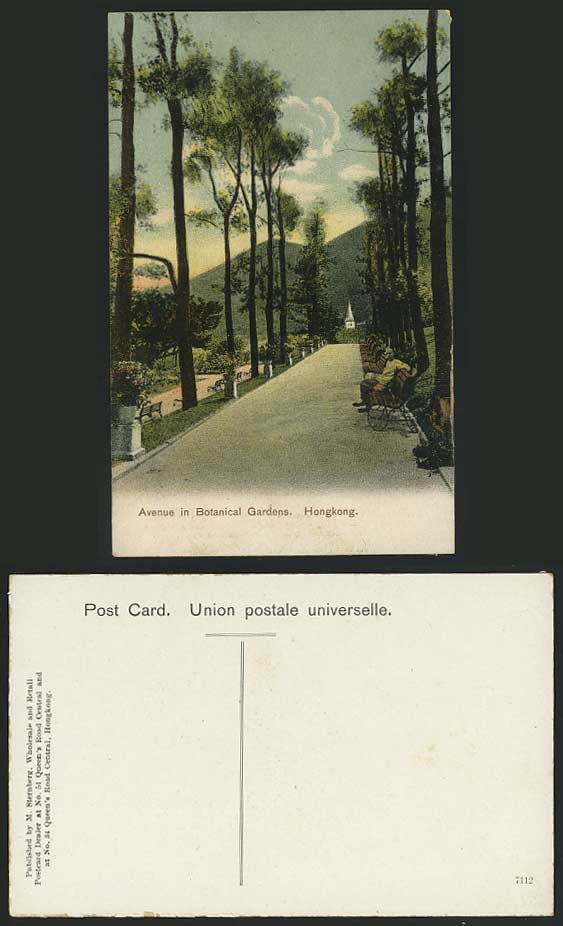 Hong Kong China Old Postcard AVENUE - Botanical Gardens