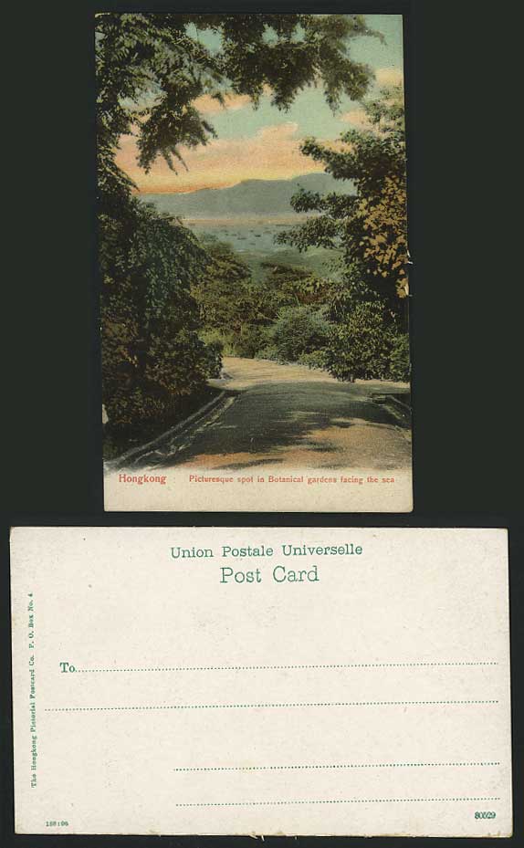 Hong Kong China Old Colour Postcard Botanical Gardens Facing The Sea Botanic Gdn