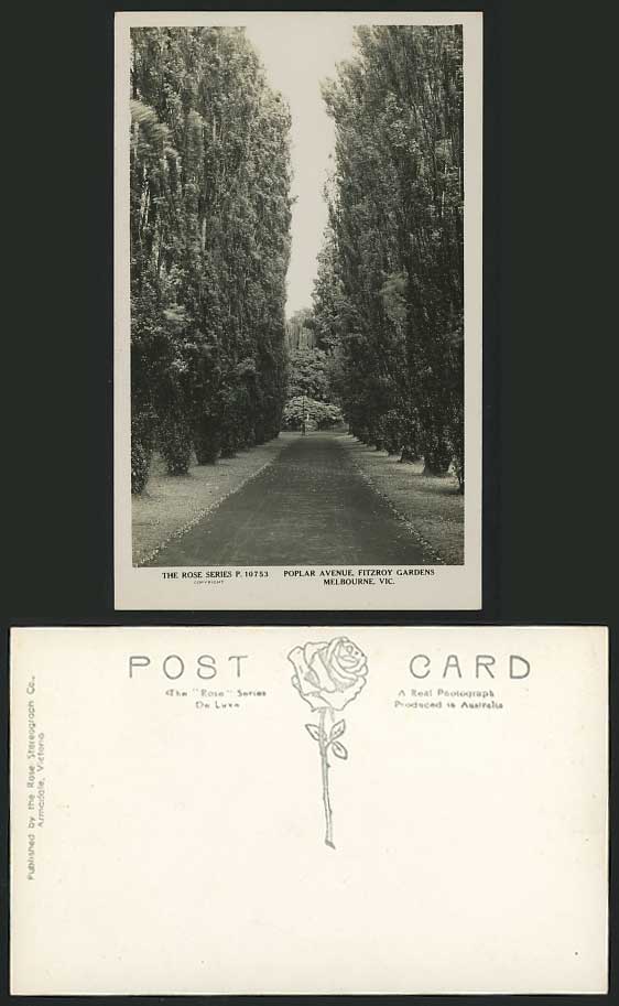 Australia Melbourne Old Real Photo Postcard Fitzroy Gardens Poplar Avenue
