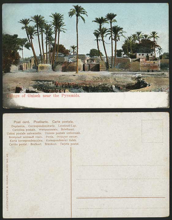 Egypt Old Colour Postcard Native Village of Guiseh near Pyramids Palm Trees