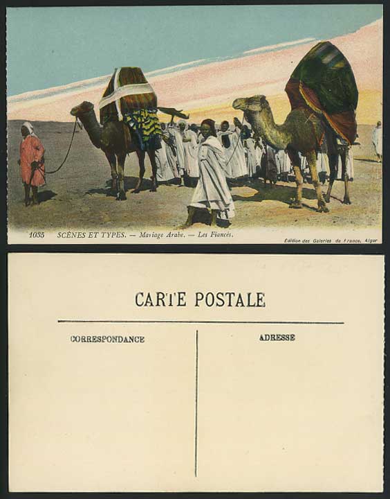 Egypt Old Colour Postcard Arabe Arab Marriage Camels - Fiances, Ethnic Life