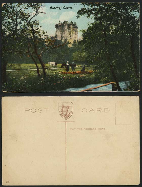 Ireland Cork BLARNEY CASTLE Cattle & River Old Postcard