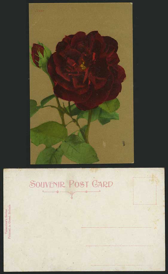 Red ROSE Flower Roses Flowers, Gold Colour Old Postcard
