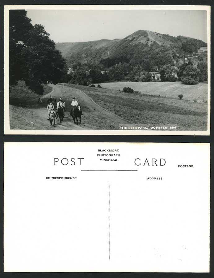 DUNSTER DEER PARK Somerset Horse Riders Old RP Postcard
