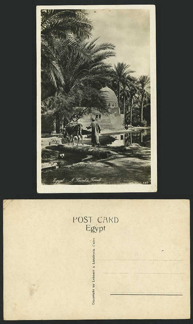 Egypt Old RP Postcard A Saint's Tomb, Bridge Palm Trees