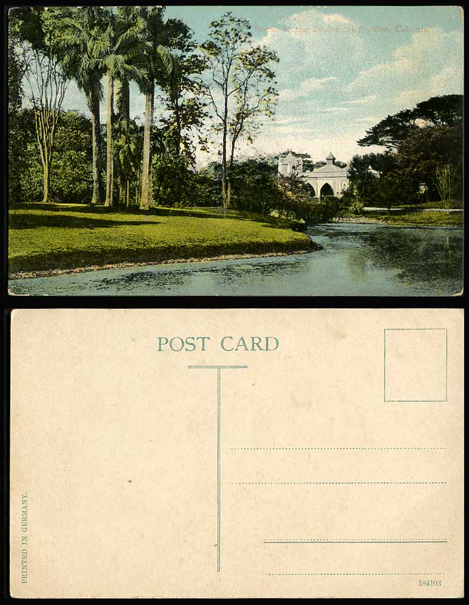 India Old Colour Postcard Zoo Zoological Gardens Calcutta River Scene Palm Trees