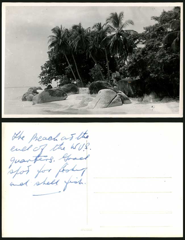 Penang Beach of W.U.S. Quarters Palm Trees, Fishing 1956 Old Real Photo Postcard