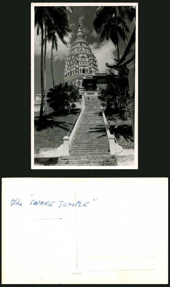Penang 1956 Old Real Photo Postcard Steps to Snake Temple Pagoda Palm Trees Gate