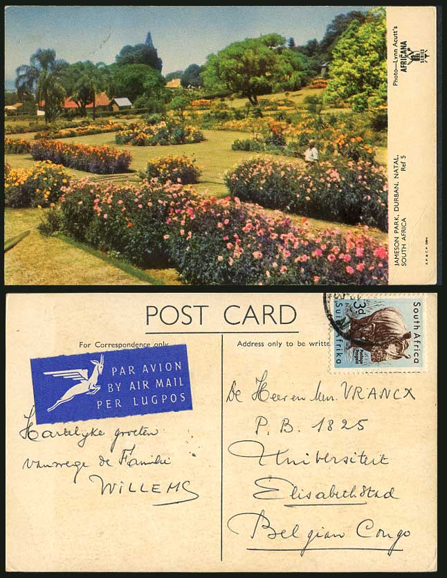 South Africa Rhino 3d 1957 Old Postcard Jameson Park Durban Natal Garden Airmail