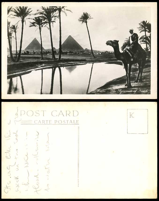 Egypt Old Postcard Cairo The Pyramids of Gizeh Giza, Camel Rider Palm Trees Nile