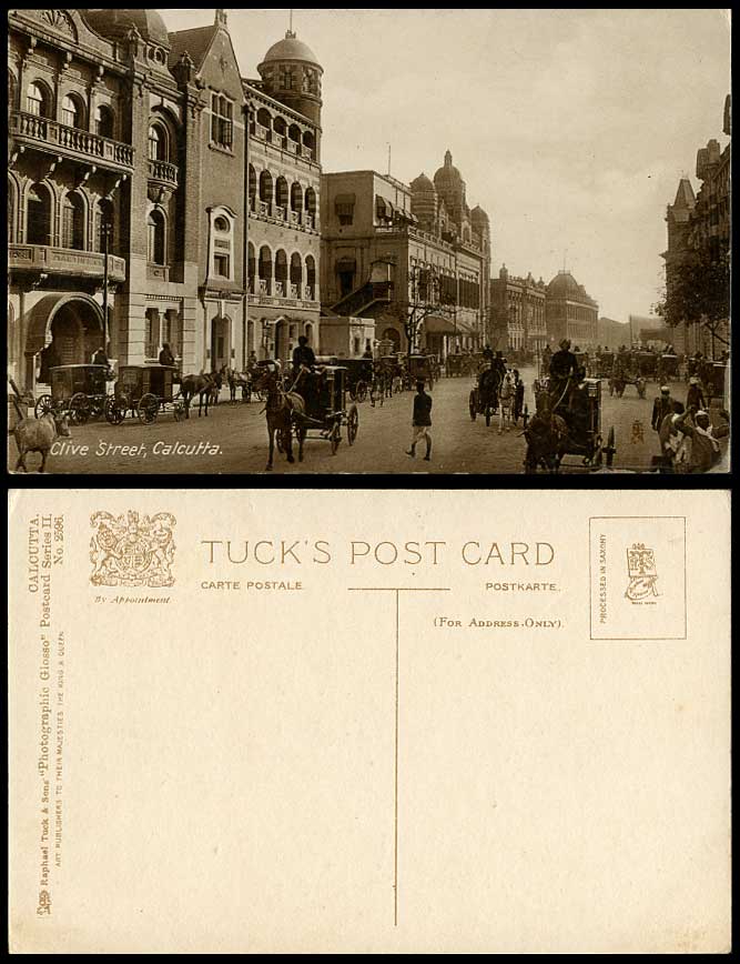 India Old Tuck's Postcard Clive Street Scene Calcutta Cattle Calf Horse Carriage