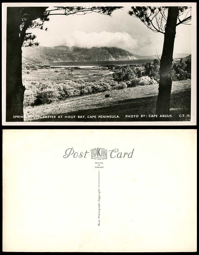 South Africa Spring South Easter Hout Bay Cape Peninsula Old Real Photo Postcard