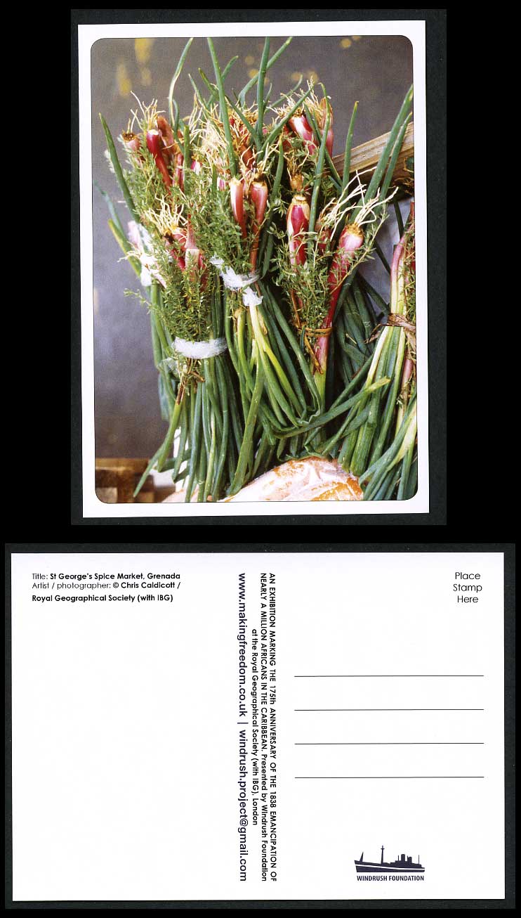 Grenada St. George's Spice Market Spring Onions Christ Caldicott Artist Postcard