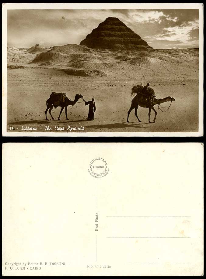 Egypt Old RP Postcard Cairo Step Pyramid Sakkarah Caire Pyramide Sakkara, Camels