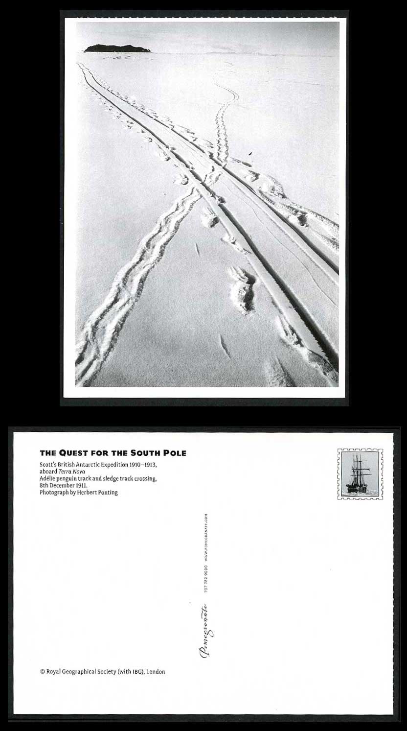 Antarctic Expedition Sledge Adelie Penguin Track aboard Terra Nova 1911 Postcard