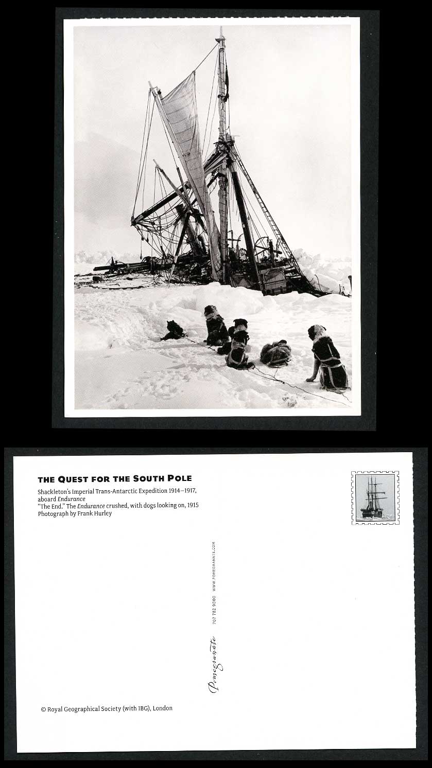 Shackleton's Imperial Trans-Antarctic Expedition Postcard Endurance Crushed DOGS