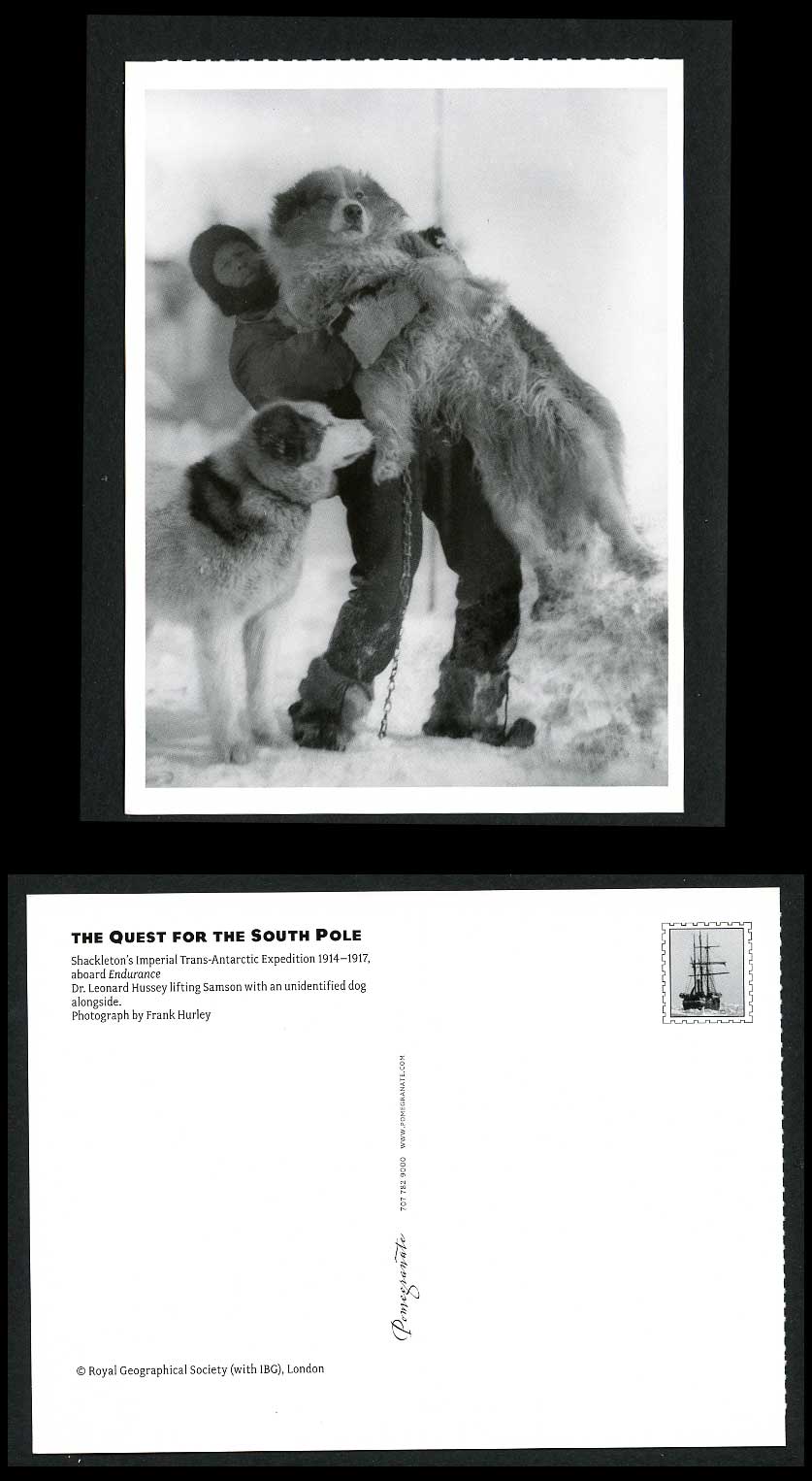 Imperial Trans-Antarctic Expedition Postcard Dr. Leonard Hussey Samson Dog, Dogs