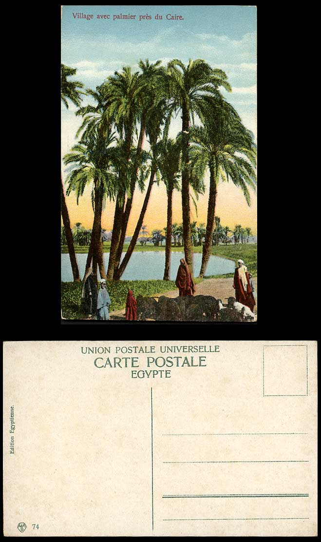 Egypt Old Postcard Village avec Palmier Le Caire Cairo Palm Trees SHEEP Shepherd