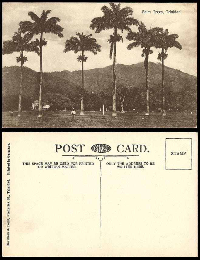 Trinidad Old Postcard Palm Trees Queen's Park, Savanah, Port of Spain, Mountains