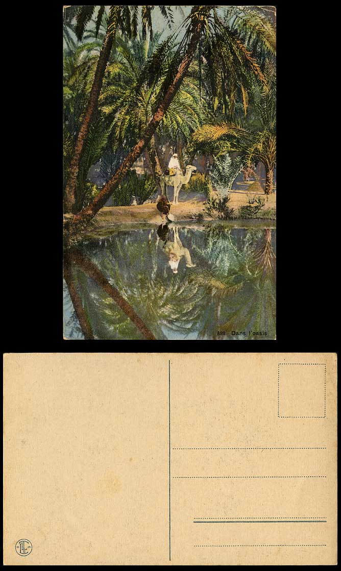 Tunisia Old Postcard Dans l'Oasis Oasis, Camel Rider, Palm Trees River Lake Pond