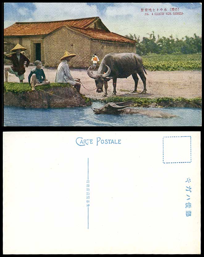 Taiwan China Formosa Old Postcard A Country View Buffalo Native Farmer Boy House