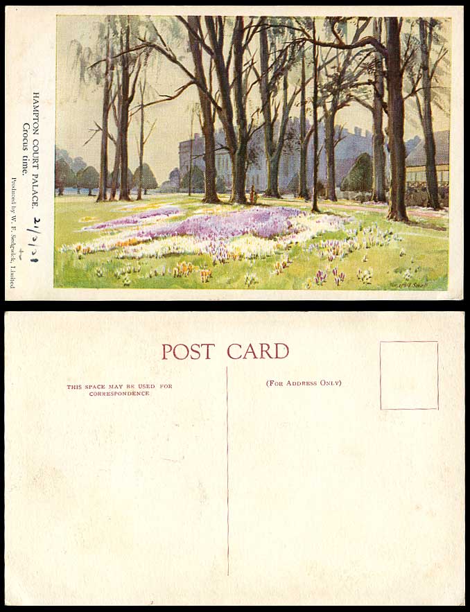 Hampton Court Palace Crocus Time, Tunstall Small Artist Signed 1931 Old Postcard