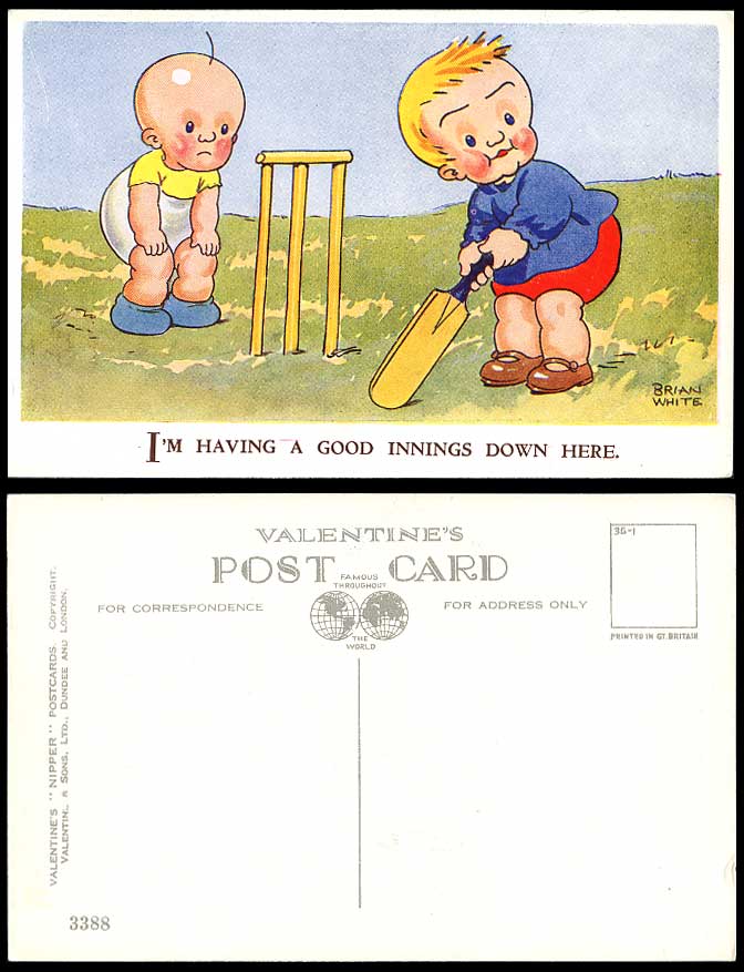 Brian White Old Postcard 2 Boys Play Cricket I'm Having a Good Innings Down Here