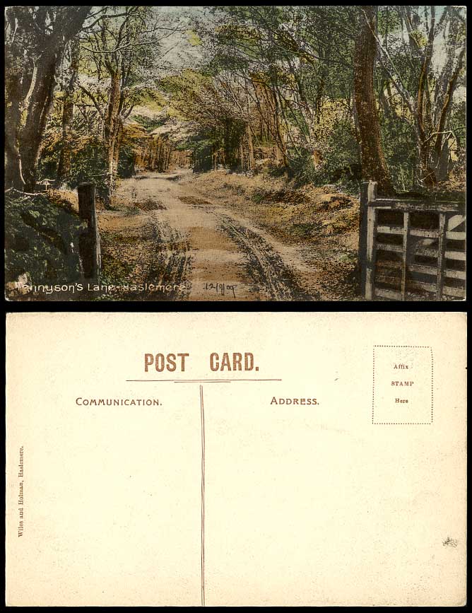 Halslemere Tennyson's Lane Trees Road Surrey 1909 Old Hand Tinted Color Postcard